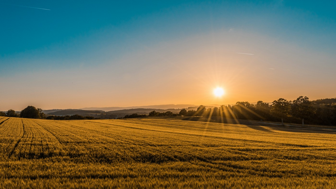 Agricultural fields